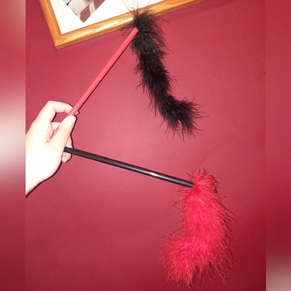Cat Toys